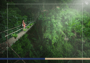 Diversity of Flora and Fauna in Costa Rica