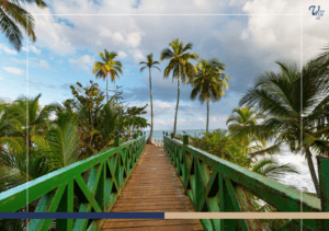 What is the Best Time to Visit Costa Rica? Tips to Plan Your Vacation?