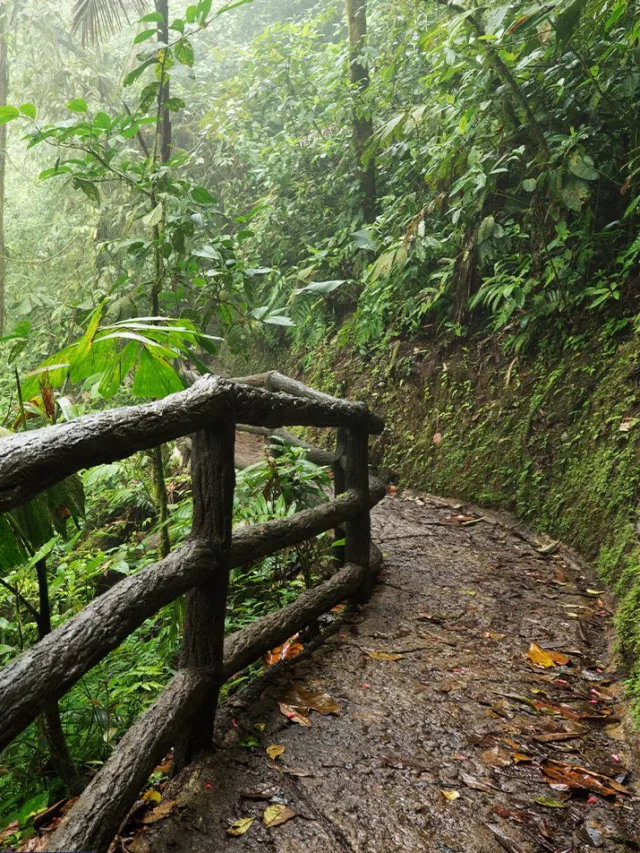 Why Costa Rica Should Be on Your Bucket List?