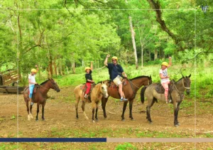 Everything You Need to Know about Horseback Riding in Costa Rica