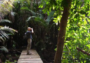 Is Costa Rica Safe to Travel?