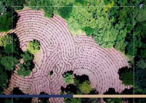World’s Largest Labyrinth in Costa Rica