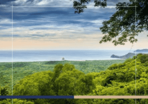 Birdwatching in Guanacaste: Top Spots and Tips