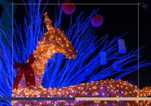 7 Ways Expats Can Enjoy Christmas in Costa Rica