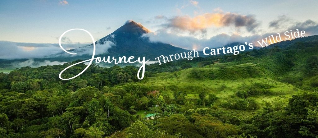Cartago Gardens and National Parks