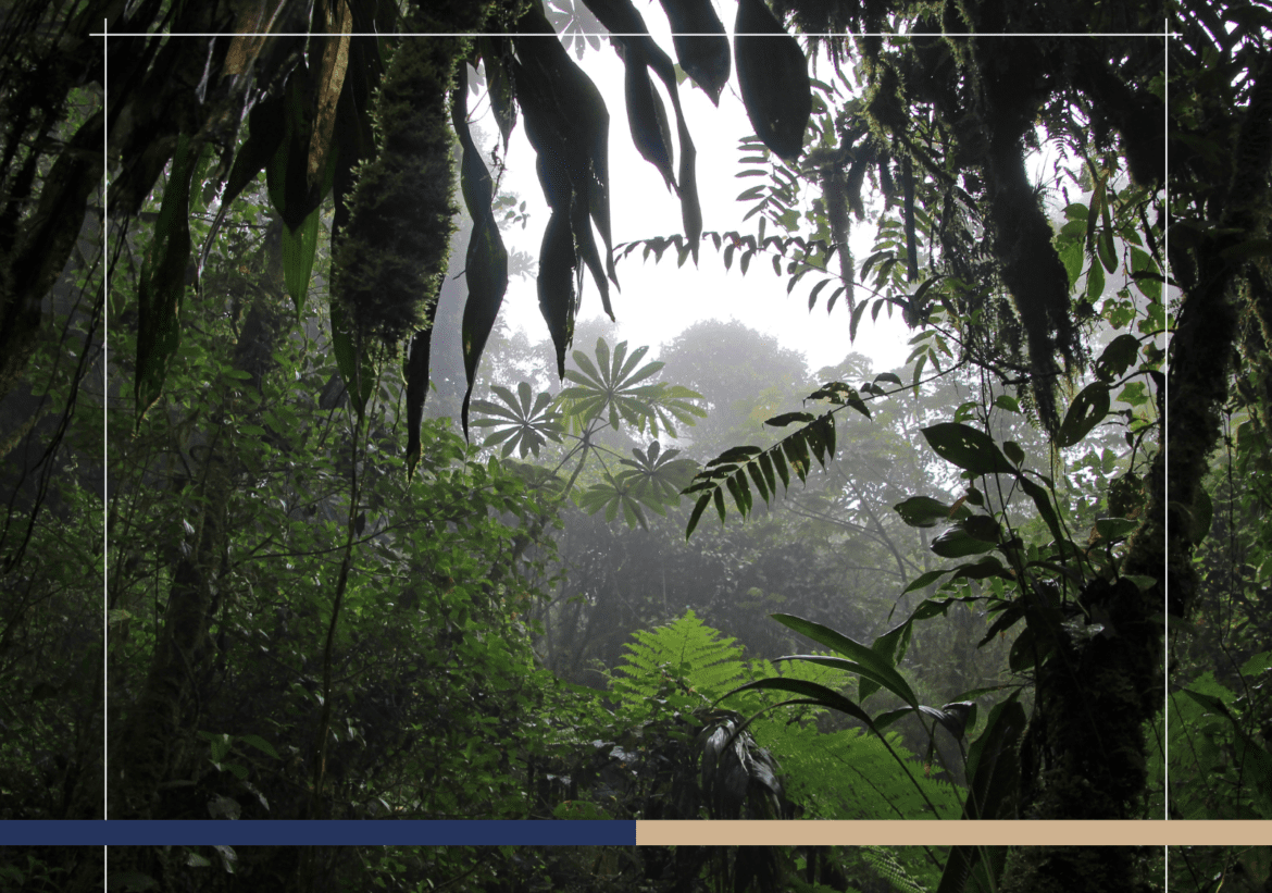 Costa Rica Rolls Out Climate Adaptation Plan for Protected Wildlife Areas (ASP)