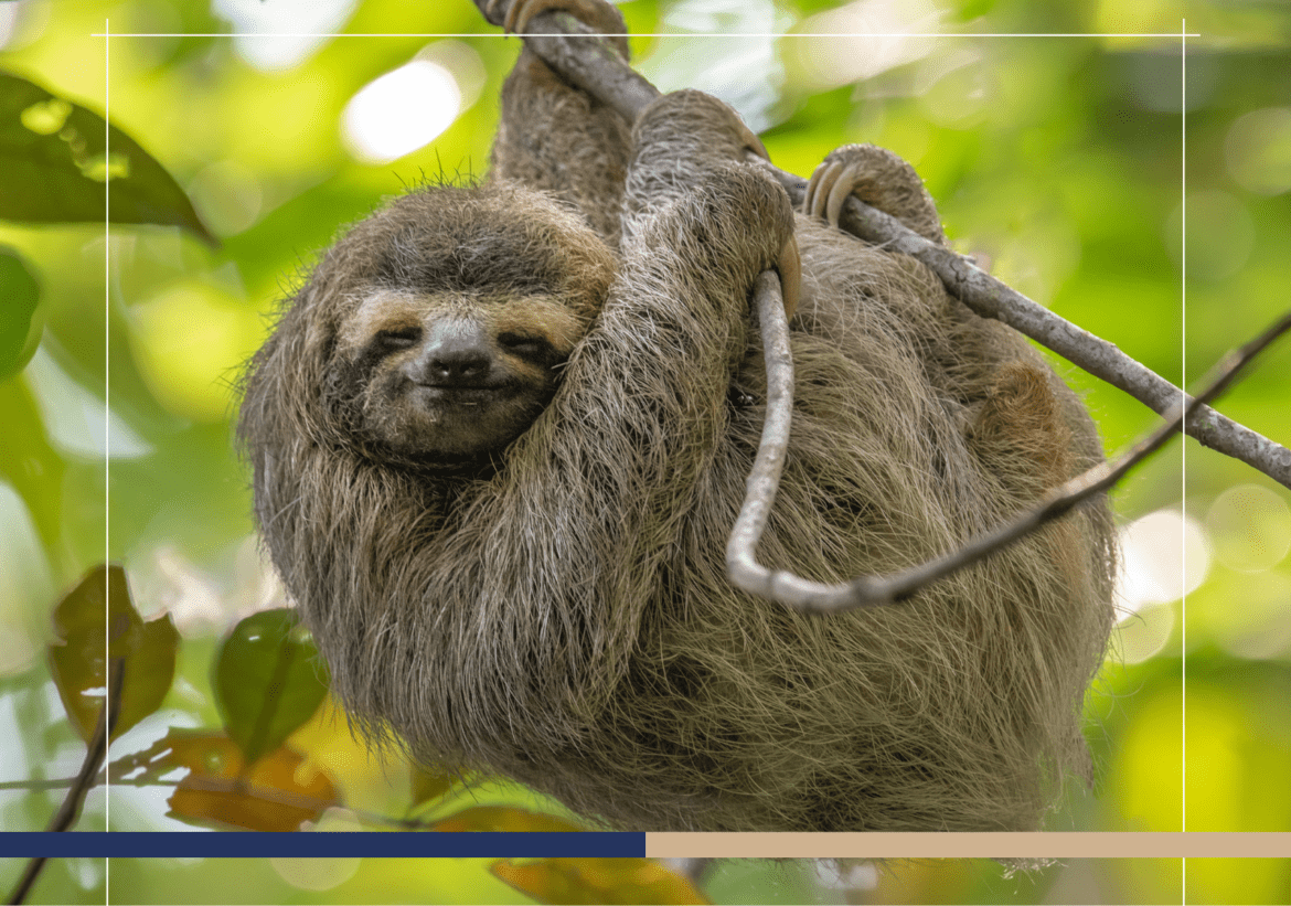 Costa Rica Ranks in Top 10 for Environmental Protection in Nature Conservation Index