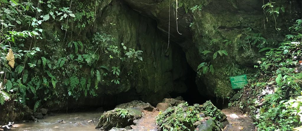 Cavernas de Venado