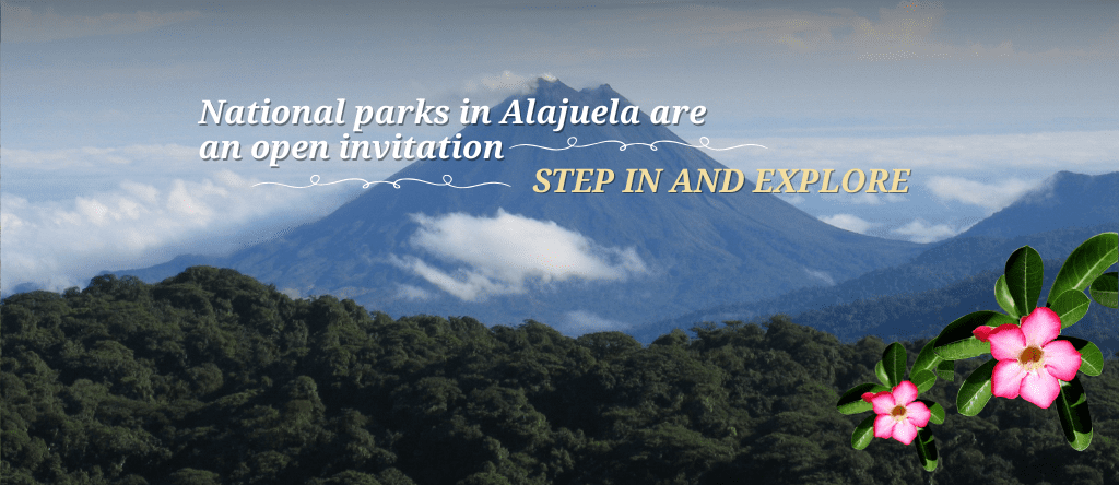Alajuela’s National Parks