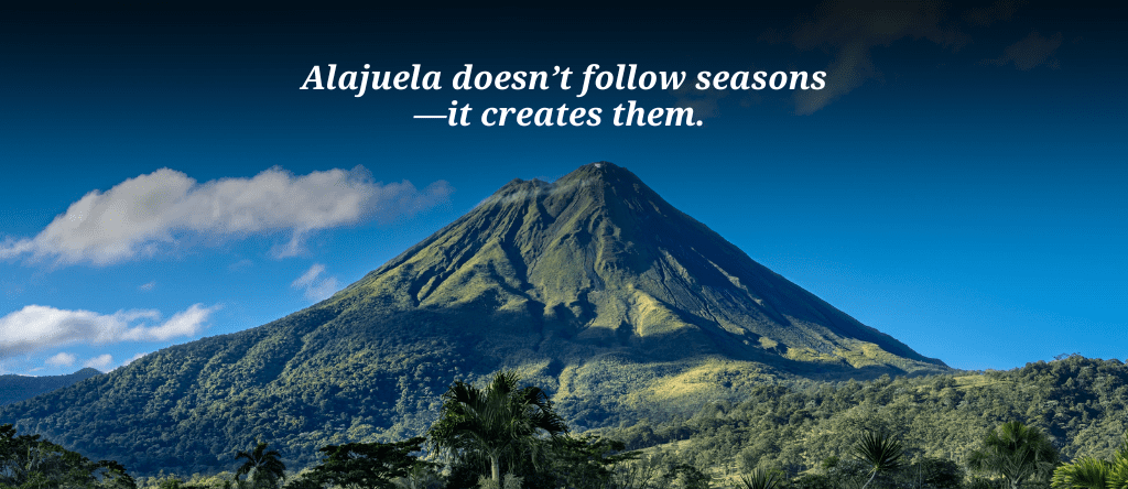 Alajuela Seasonal Guide