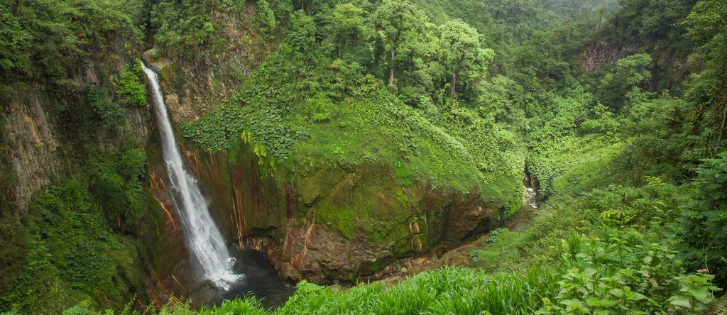 Juan Castro Blanco National Park