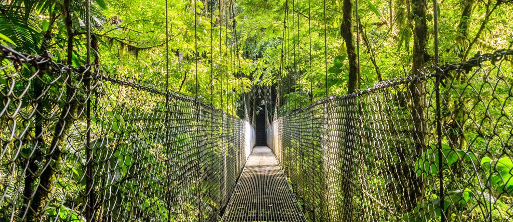 Mistico Arenal Hanging Bridges Park