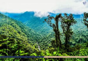 Your Guide to Braulio Carrillo National Park, Costa Rica
