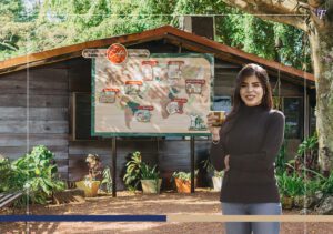 Best Coffee Tours and Plantations to Visit in Heredia