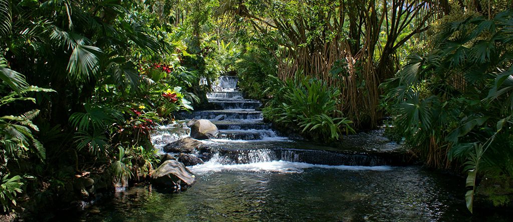 The Springs Resort and Spa 