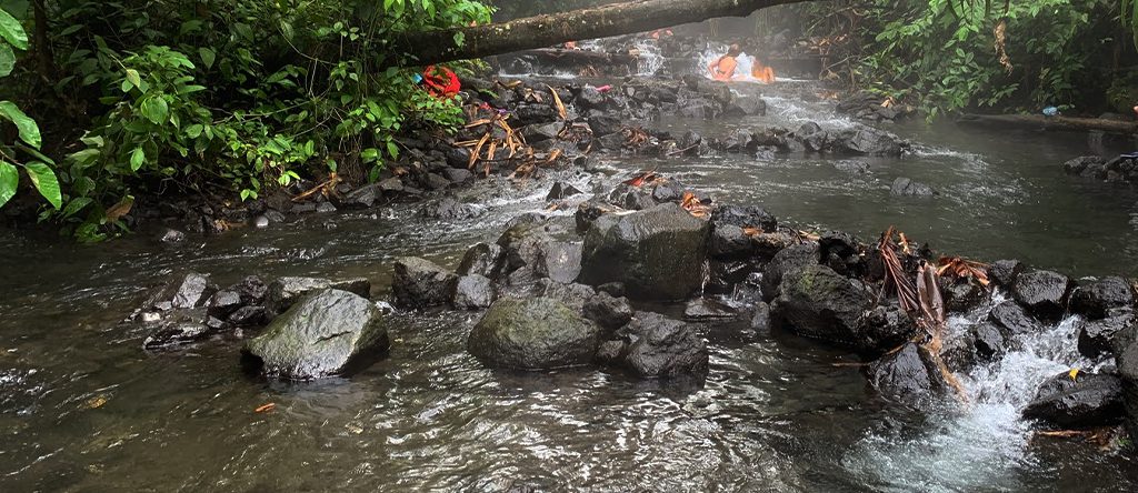 Termalitas along the Río Chollín 