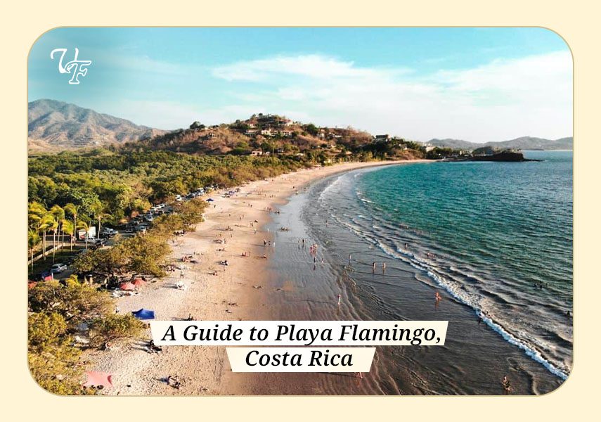 A guide to Playa Flamingo