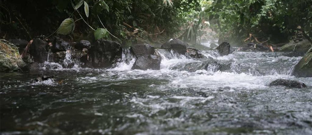 Free Natural Hot-Spring River - Arenal