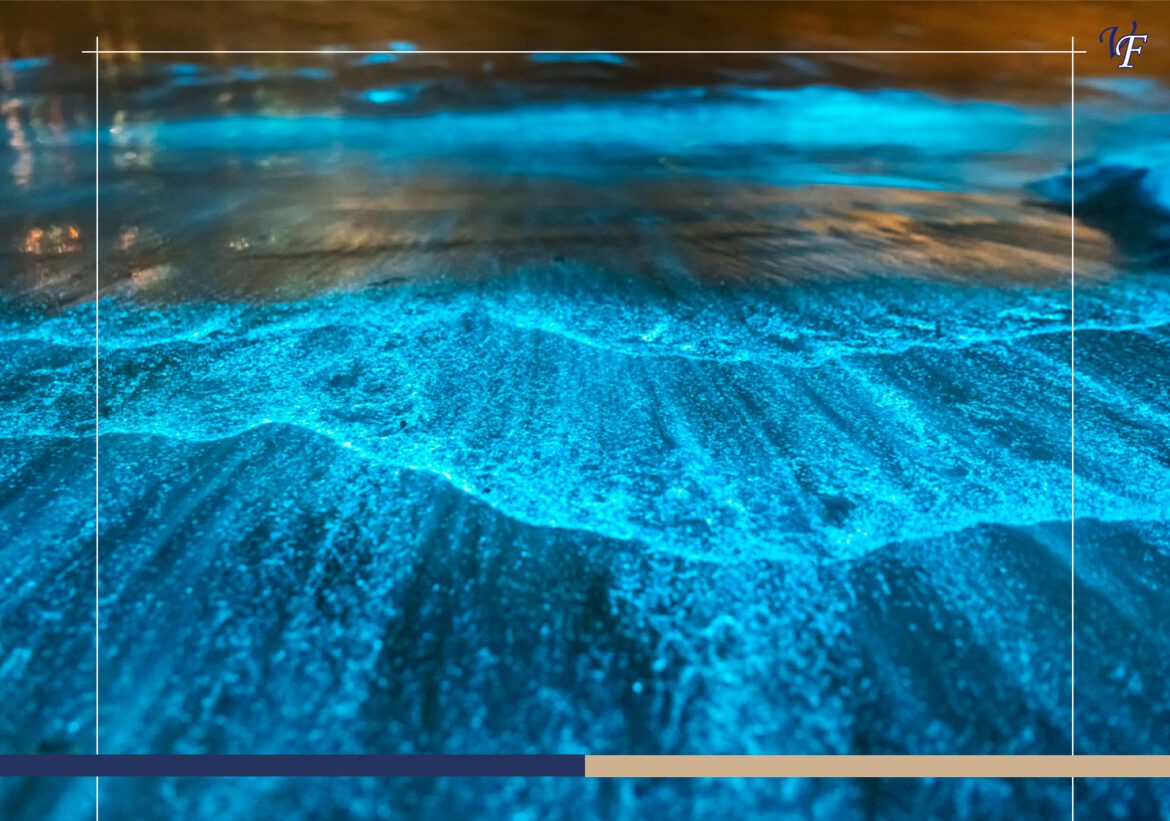 12 Things That Make Costa Rica Truly Magical