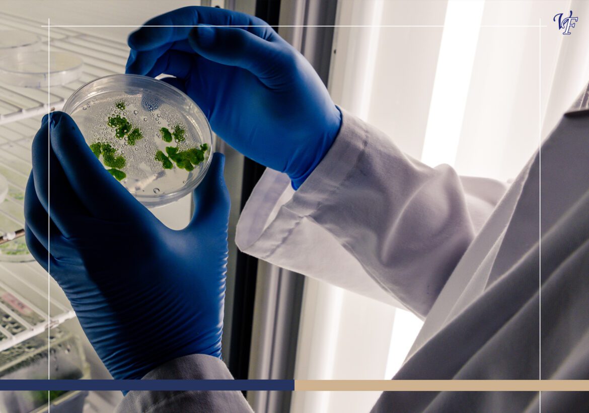 7 Innovations You Didn’t Know Came from Costa Rica 