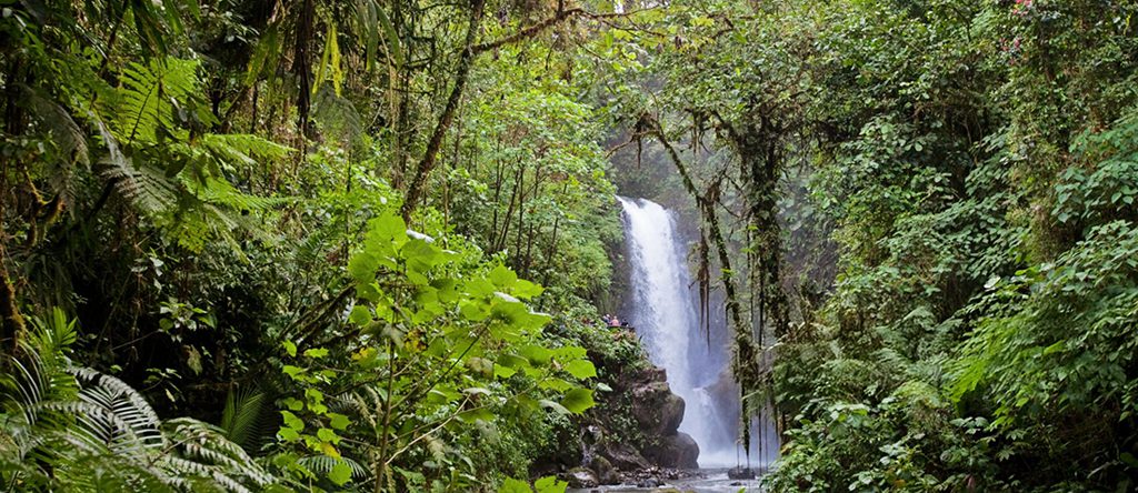 La Paz Waterfall & Downstream Pools 