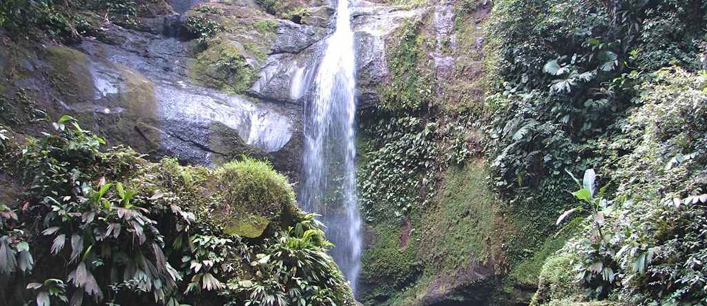 Volio Waterfall - Bribri Territory