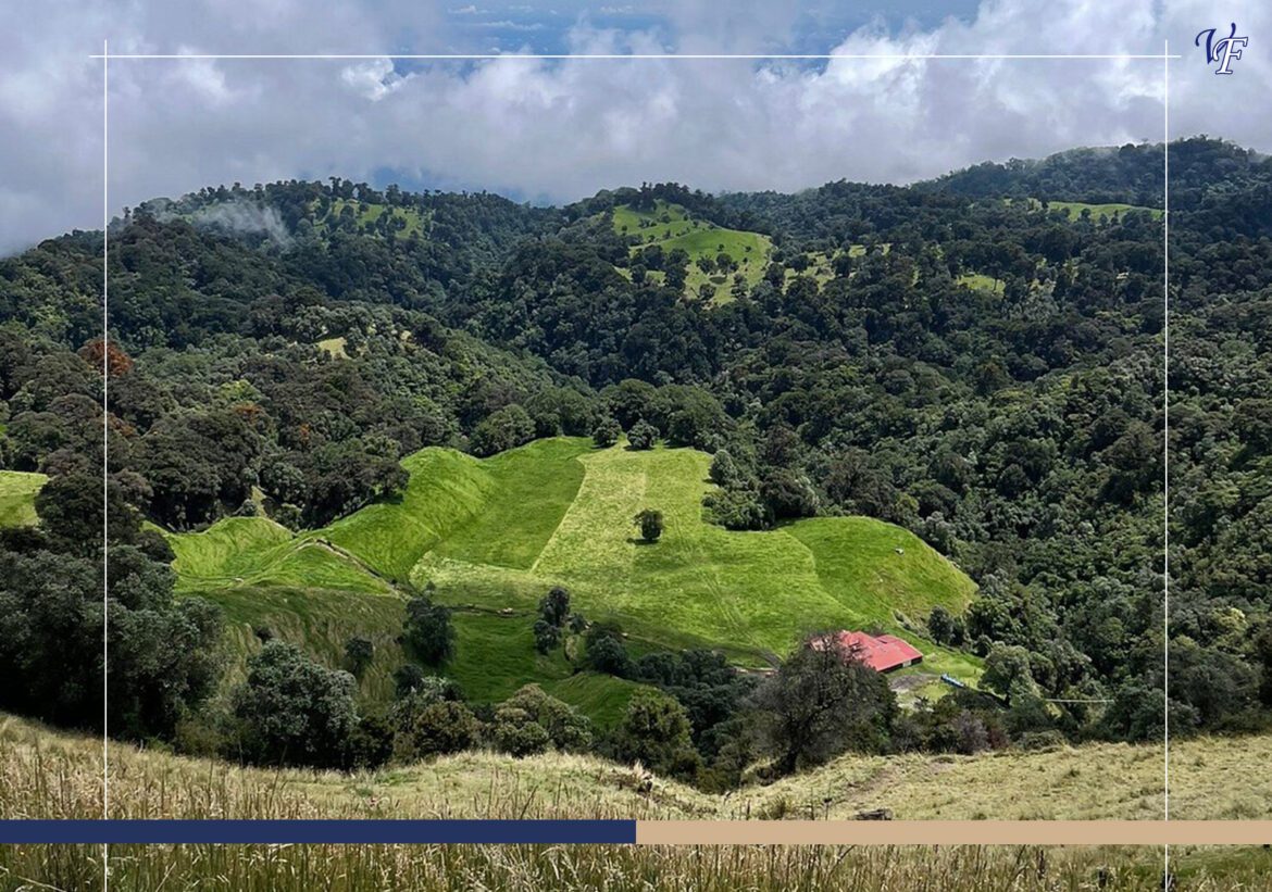 Prusia Forest – The Magical Side of Irazú Volcano National Park