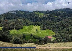 Prusia Forest – The Magical Side of Irazú Volcano National Park