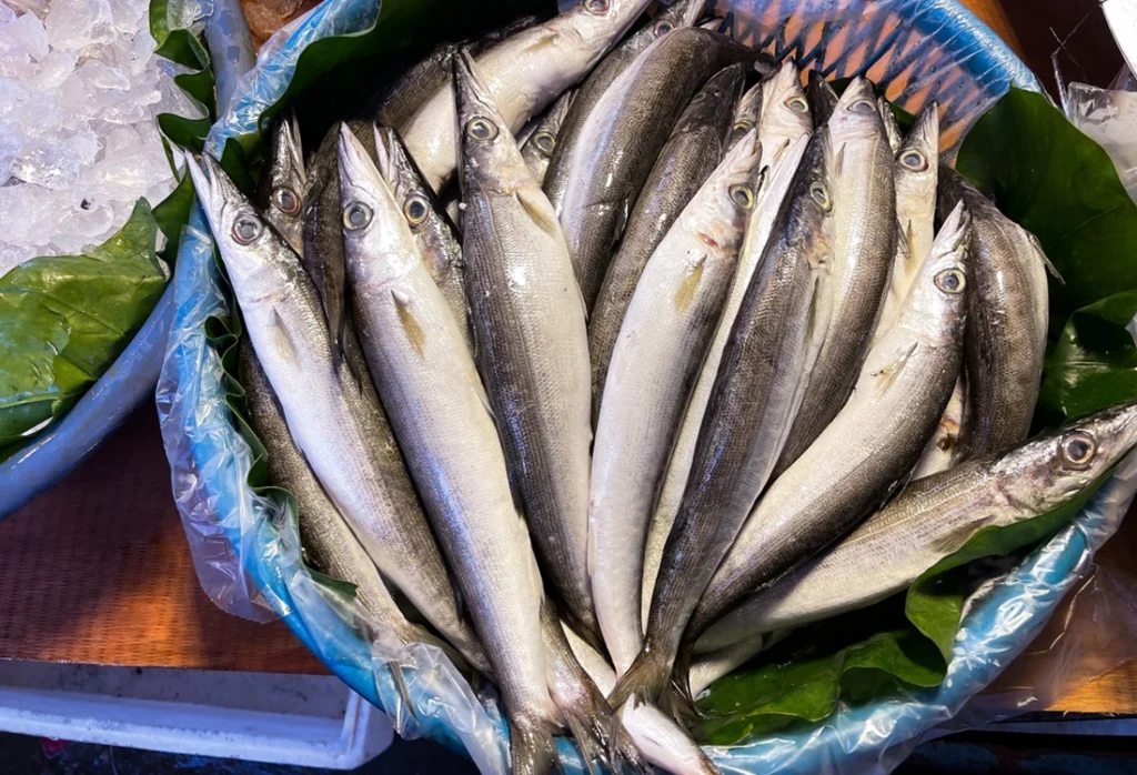 Ceviche and the Pacific Coast's Freshest Tradition