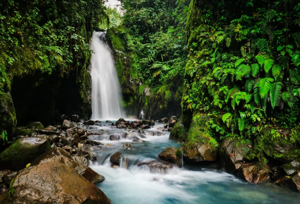 Explore waterfall tours in Costa Rica